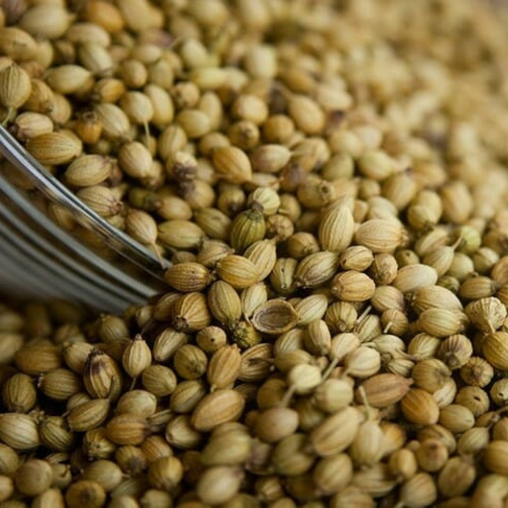 Prakritiveda Coriander Seeds | Whole | 100gm | 100% Natural